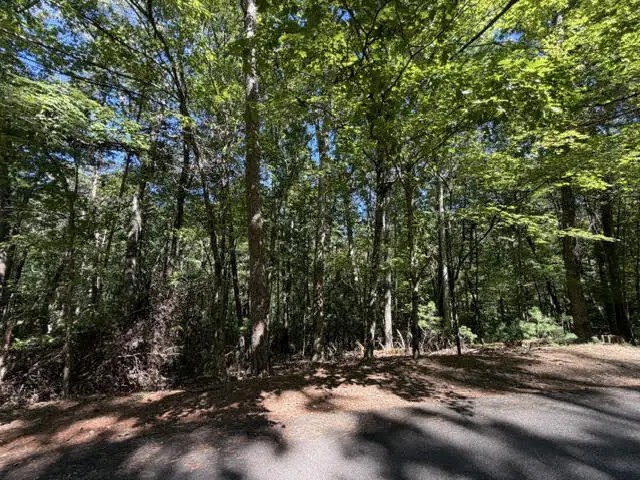 305-433 Seneca Drive, Ellijay, GA 30540 - #2