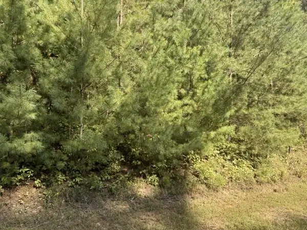Lot 224 Rushing Water Drive, Blairsville, GA 30512