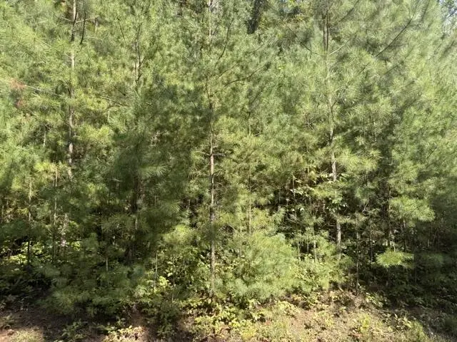 Lot 224 Rushing Water Drive, Blairsville, GA 30512 - #2