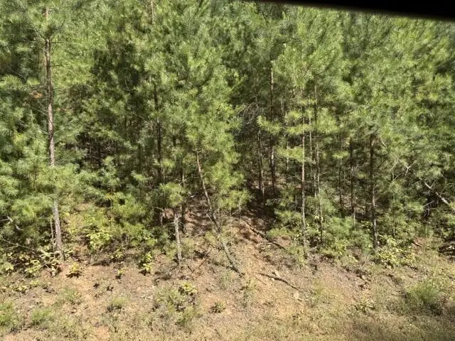 Lot 224 Rushing Water Drive, Blairsville, GA 30512 - #3