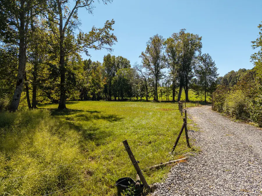 0 Clear Creek Road, Ellijay, GA 30536 - #2