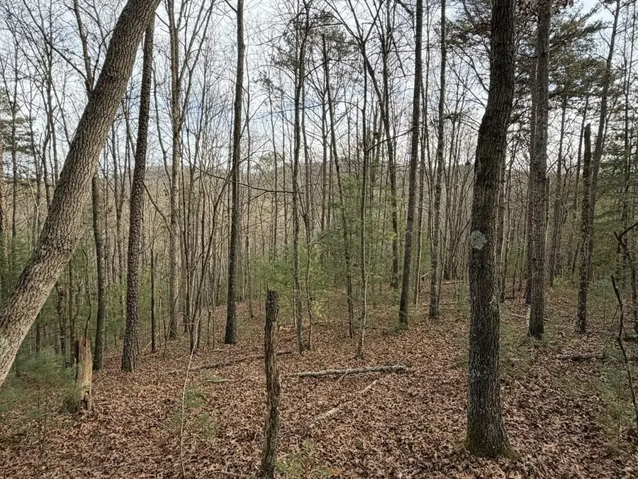 56.6 Ac Cutcane Road, Mineral Bluff, GA 30559 - #2