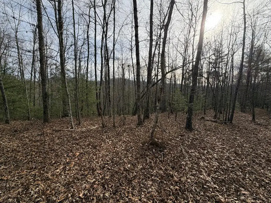 83 Acres Cutcane Road, Mineral Bluff, GA 30559 - #3