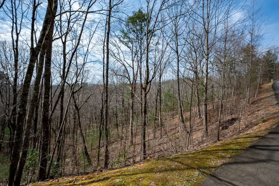 Lot 7 Oceola Drive, Ellijay, GA 30540 - #3