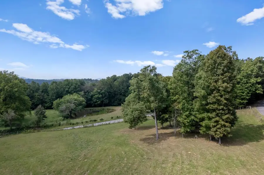 00 Ivylog Gap Rd, Blairsville, GA 30512 - #2