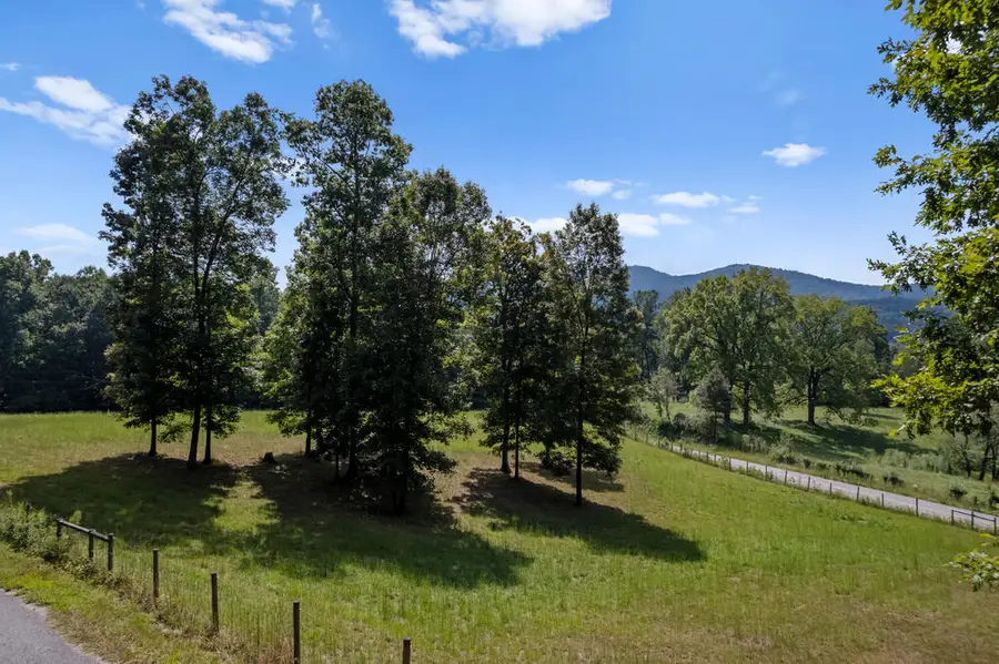 00 Ivylog Gap Rd, Blairsville, GA 30512 - #3