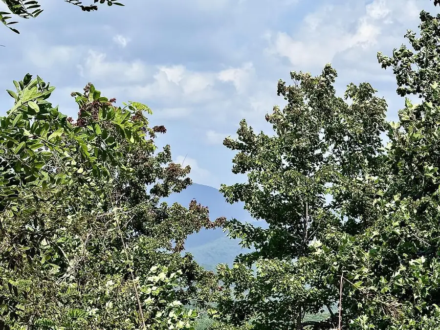 32 Grand Laurel, Brasstown, NC 28902 - #2