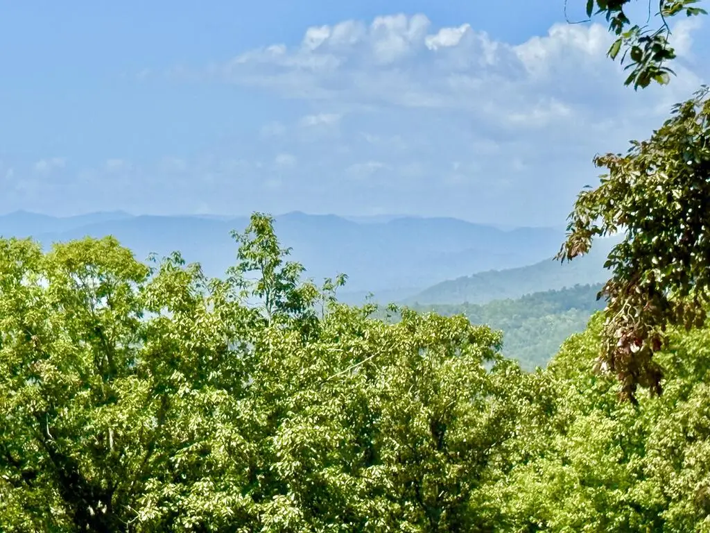 33 Grand Laurel, Brasstown, NC 28902 - #1