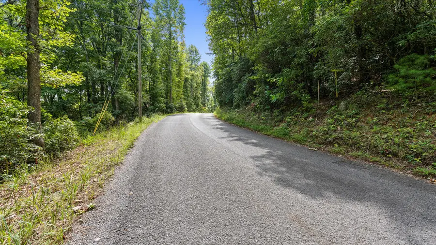 72 Old Parker Way, Ellijay, GA 30536 - #2