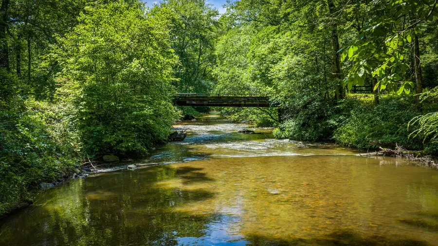 2977 Hwy 2, Blue Ridge, GA 30513 - #2
