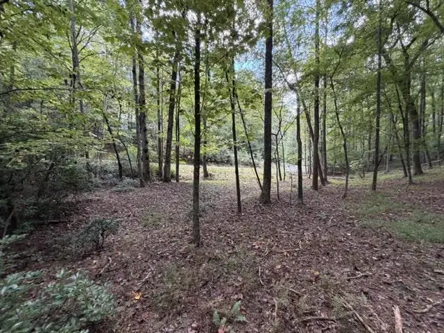 LOT 133 Seneca Drive, Ellijay, GA 30540 - #1