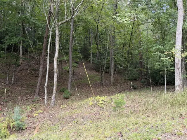 LOT 133 Seneca Drive, Ellijay, GA 30540 - #3