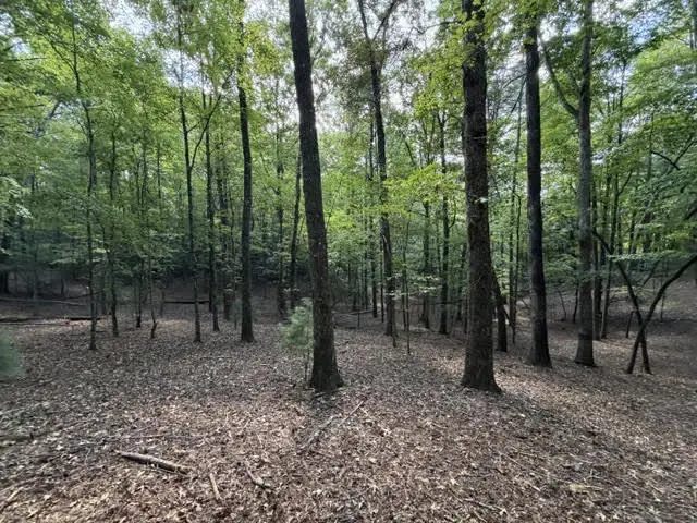 LOT 556 Satsuma Court, Ellijay, GA 30540 - #1