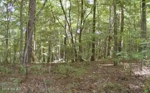 00 Panda Lane, Murphy, NC 28906