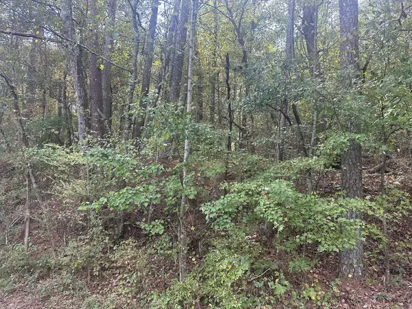 0 Carver Mill Road, Talking Rock, GA 30175