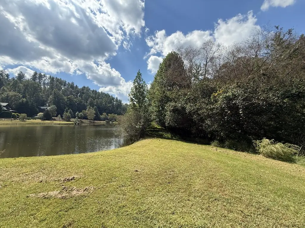00 Valley Lake Trail, Mineral Bluff, GA 30559 - #1