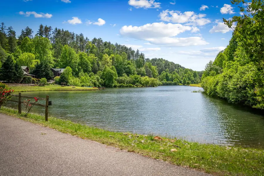 00 Valley Lake Trail, Mineral Bluff, GA 30559 - #2