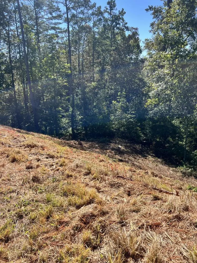 LOT 229 Woodstone Trail, Ellijay, GA 30540 - #1