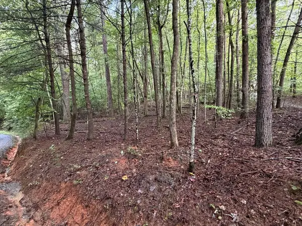 0 Peach Lane, Ellijay, GA 30536