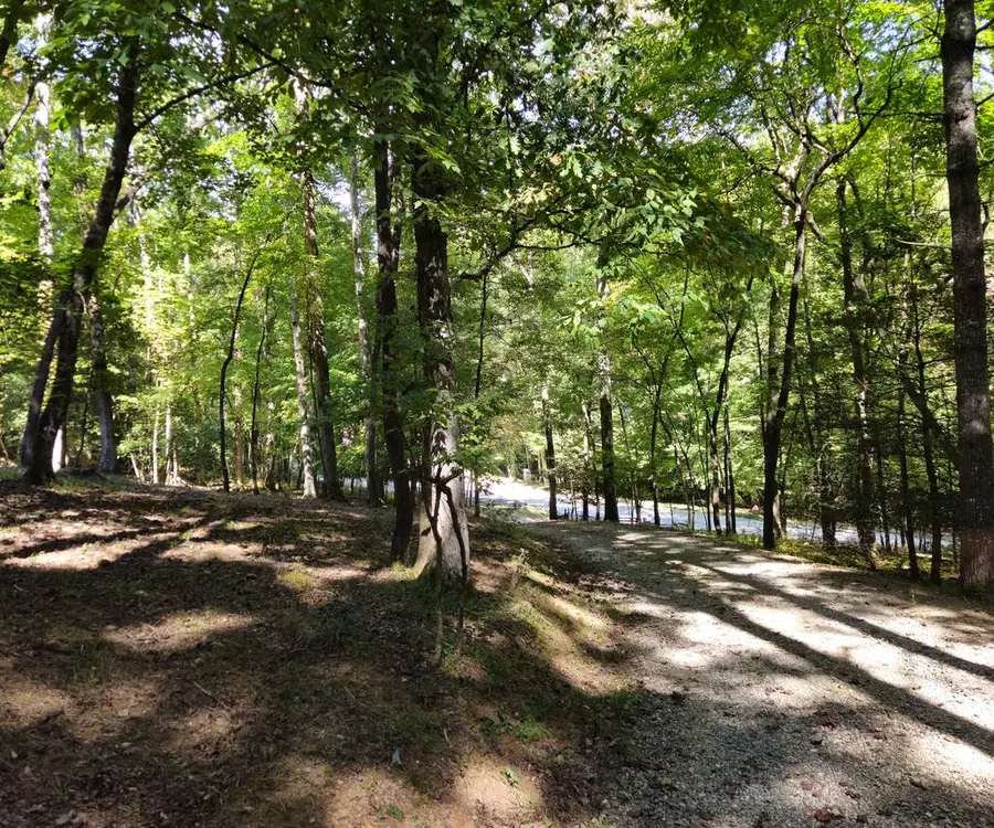 363 Weeks Creek Road, Blue Ridge, GA 30513 - #3