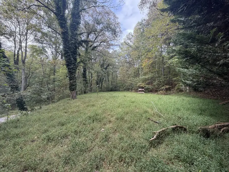 127 Ikes Circle, Ellijay, GA 30536 - #2