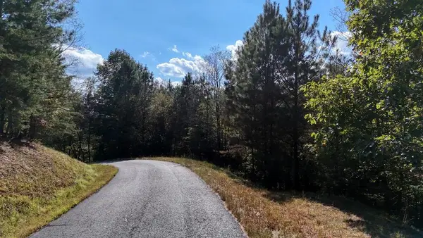 Lot 83 Tree Line Drive, Blairsville, GA 30512