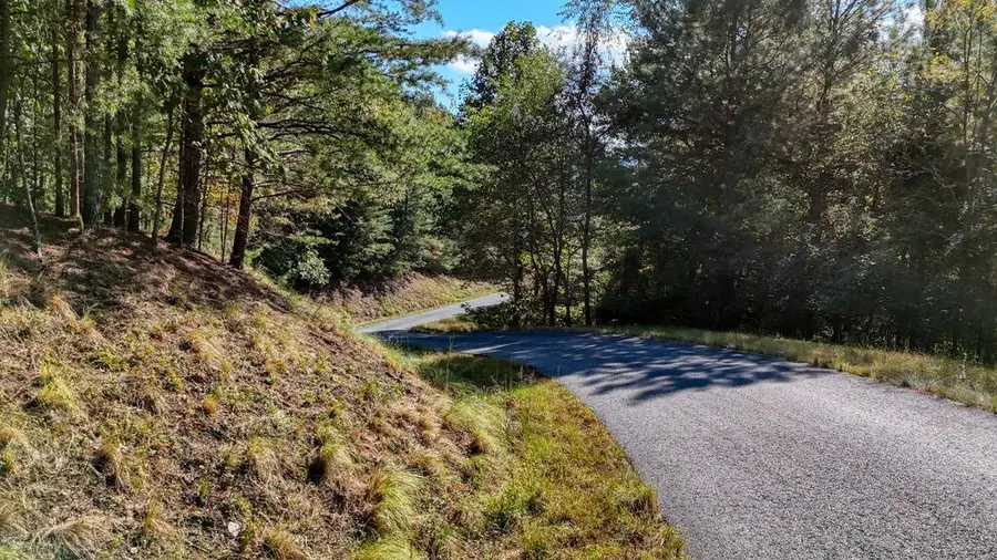 Lot 83 Tree Line Drive, Blairsville, GA 30512 - #2