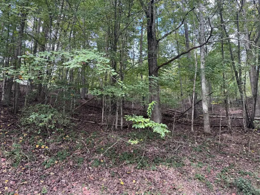 107 Smokerise Drive, Hayesville, NC 28904 - #2