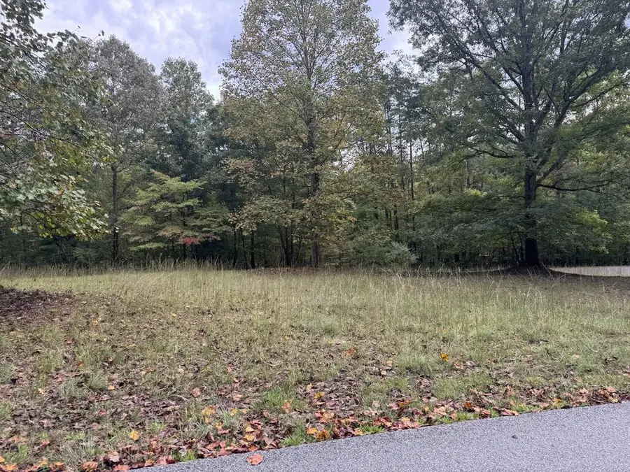 107 Smokerise Drive, Hayesville, NC 28904 - #3