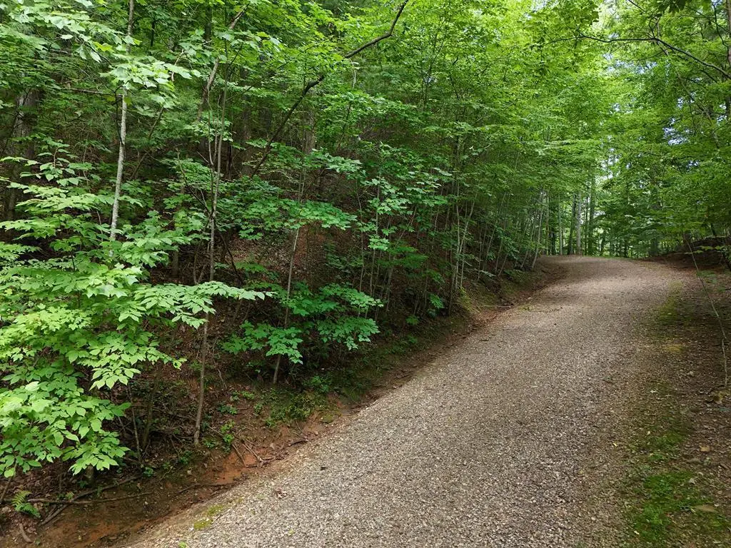 Lot 31 Highland Forge Lane, Blairsville, GA 30512 - #1
