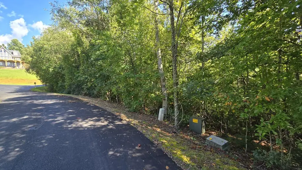 Lot 23 Dan Knob, Hayesville, NC 28904 - #1