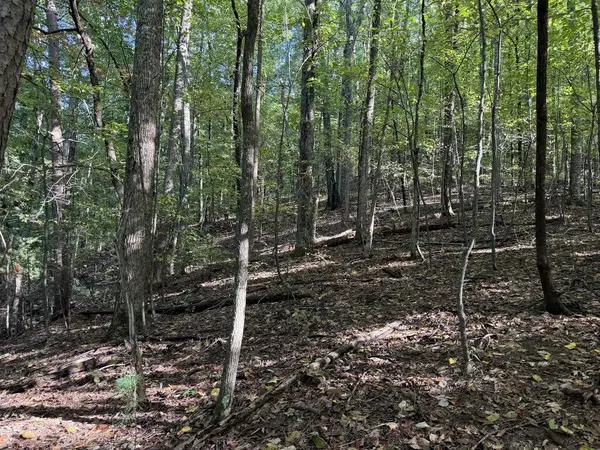 J349 Mountainview Court, Ellijay, GA 30540