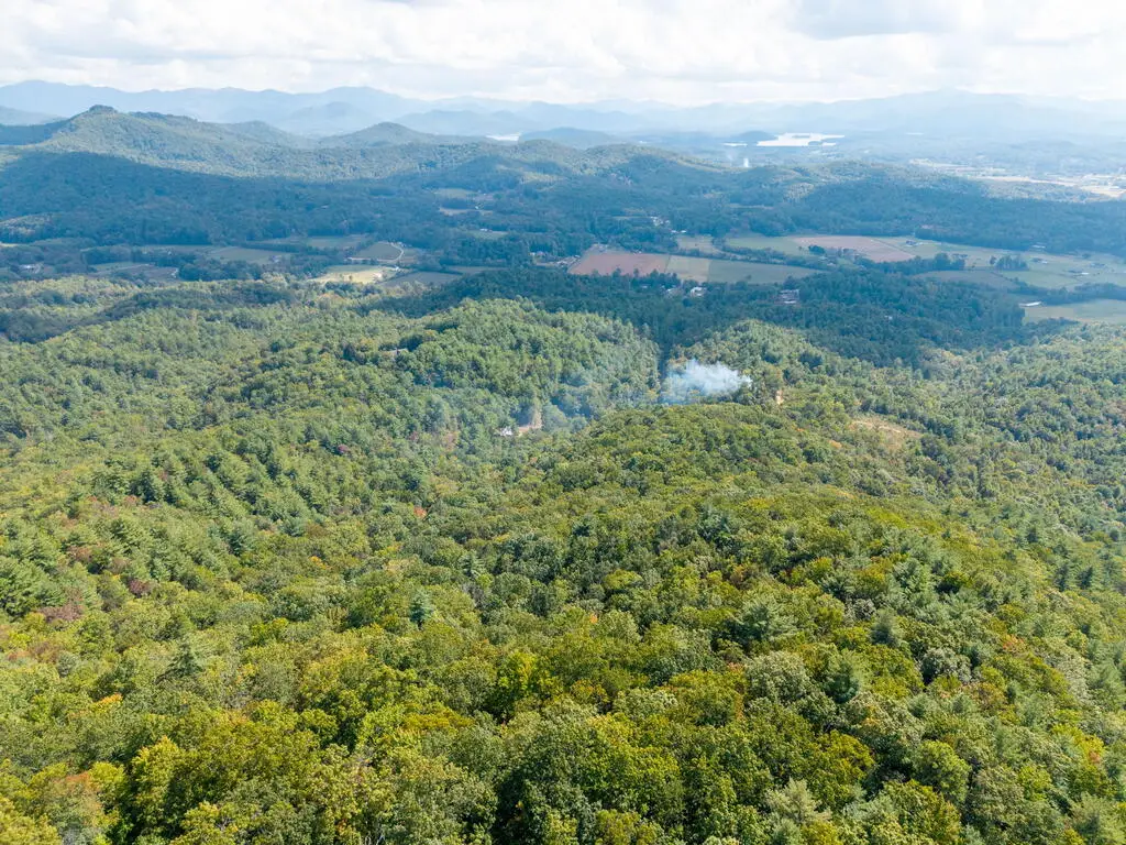 00 Hillbilly Holler, Hayesville, NC 28904 - #1