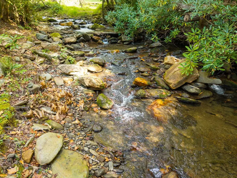 39 Crossover Lane, Hayesville, NC 28904 - #3