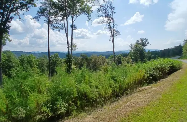 Lot 23 Mountain Laurel Ridge, Mineral Bluff, GA 30559