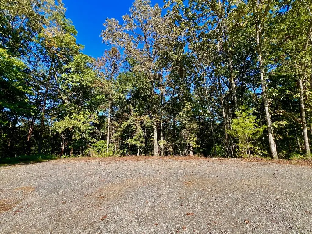 1719 Rebekah Ridge Road, Talking Rock, GA 30175 - #1