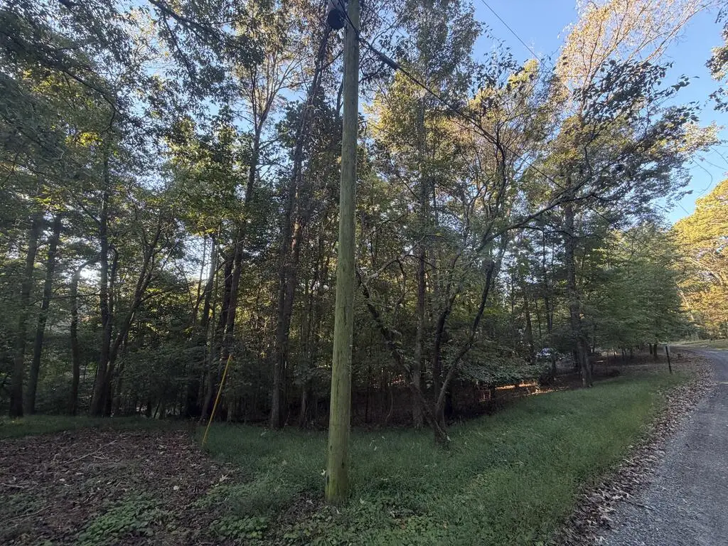 244 S Crestview Drive S, Ellijay, GA 30540 - #1