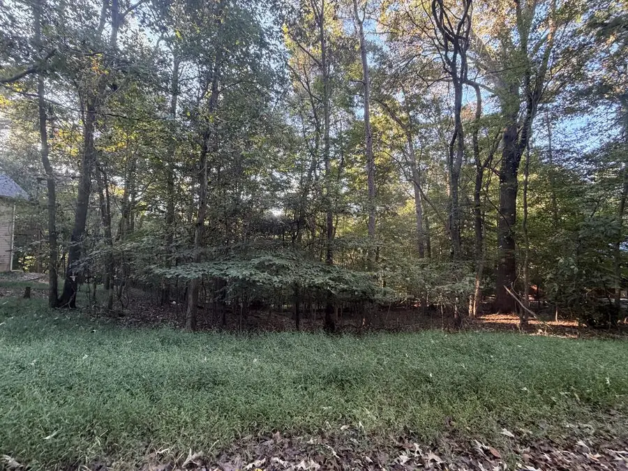 244 S Crestview Drive S, Ellijay, GA 30540 - #3