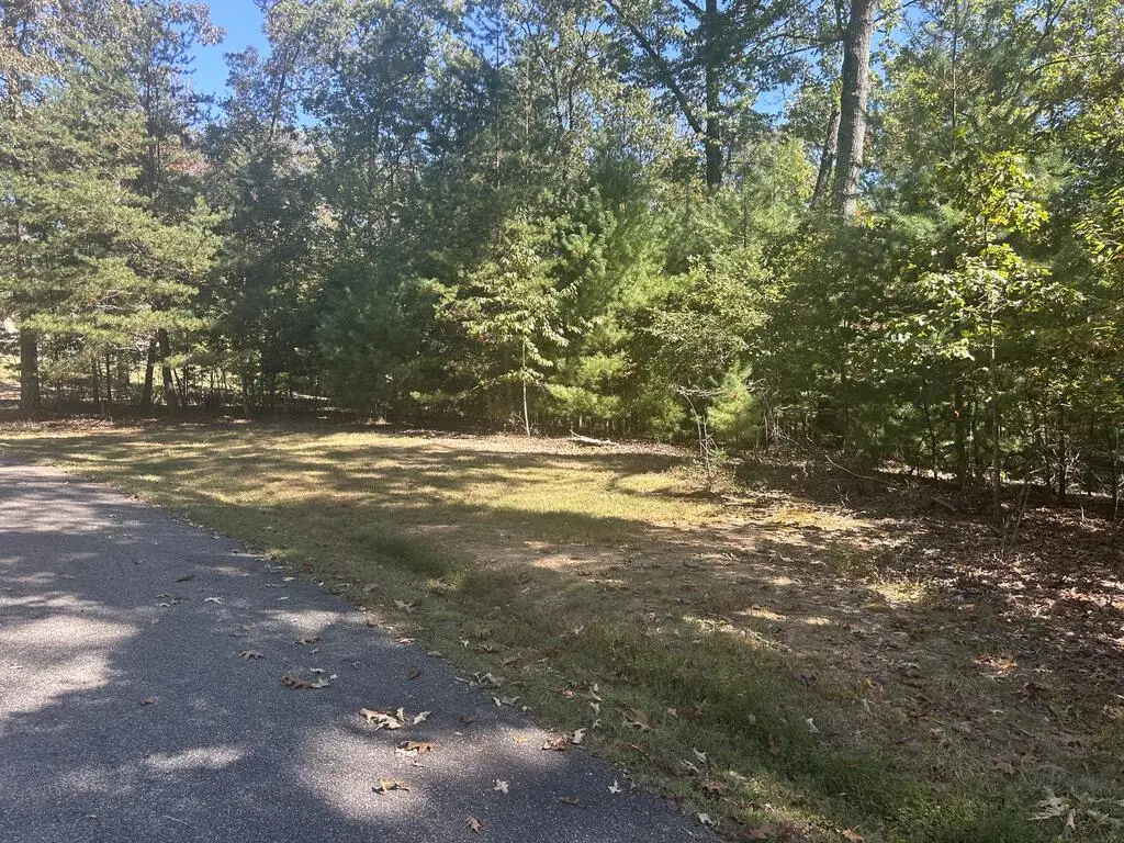 Lt 46 Lola Mae Way, Morganton, GA 30560 - #1