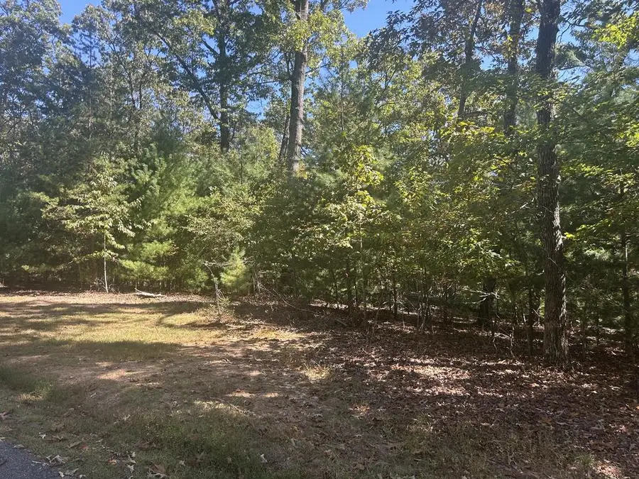 Lt 46 Lola Mae Way, Morganton, GA 30560 - #2