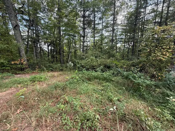 183 Mundy Road, Marble, NC 28905