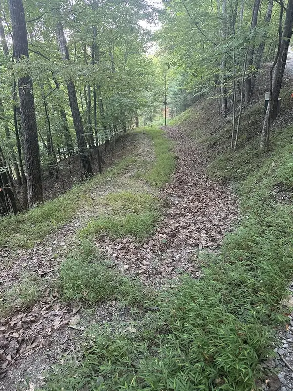 335 Deer Run Lane, Morganton, GA 30560