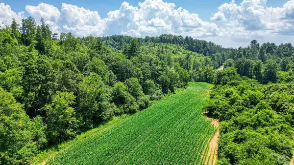 22.1 AC Hardscrabble Road, Mineral Bluff, GA 30559