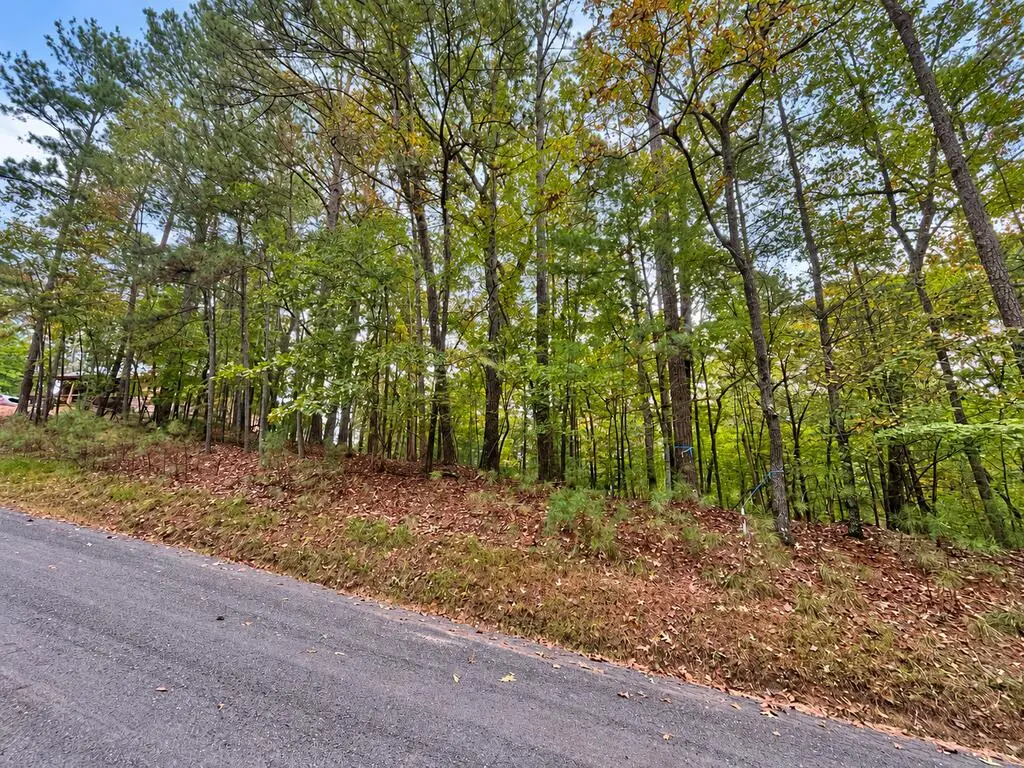 Lt 3026 Francis Way, Ellijay, GA 30540 - #1