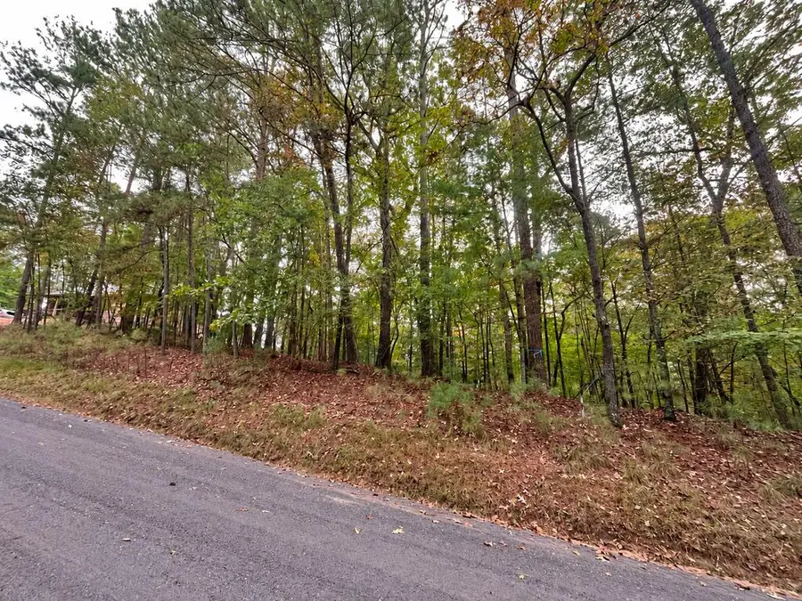 Lt 3026 Francis Way, Ellijay, GA 30540 - #3