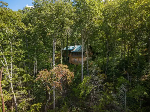 808 Mill Stone Mountain, Blue Ridge, GA 30513