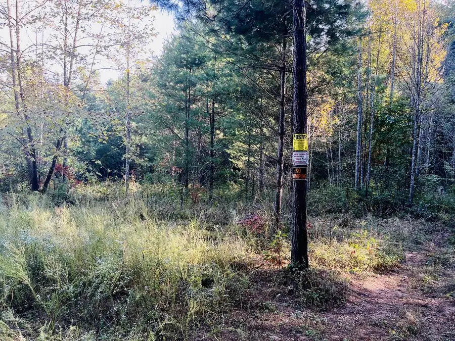 1885 Flea Mountain Road, Murphy, NC 28906 - #3