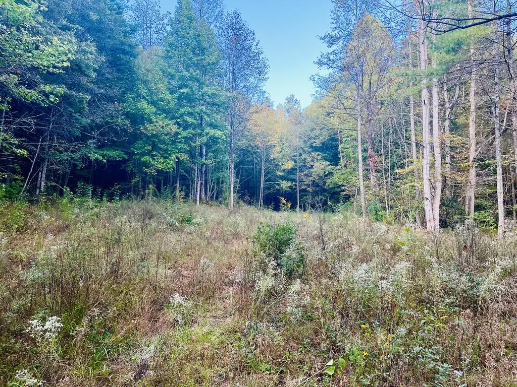1798 Flea Mountain Road, Murphy, NC 28906 - #1