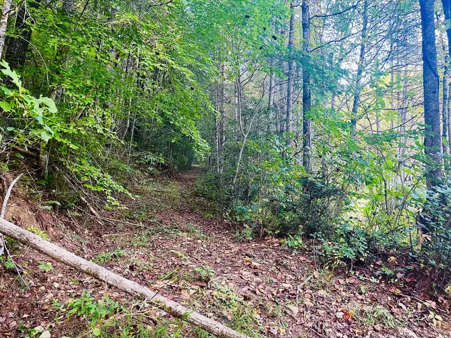 1798 Flea Mountain Road, Murphy, NC 28906 - #3