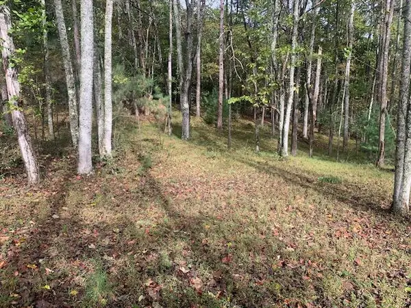 Lot 132 Fox Cove Road, Blairsville, GA 30512